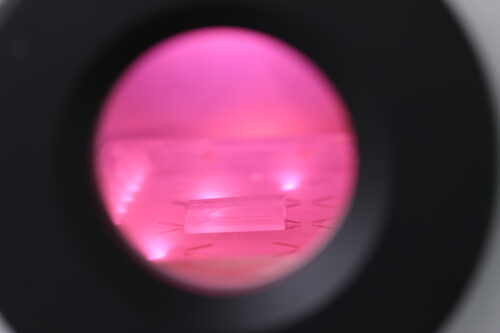 Circular window revealing pink plasma with objects inside