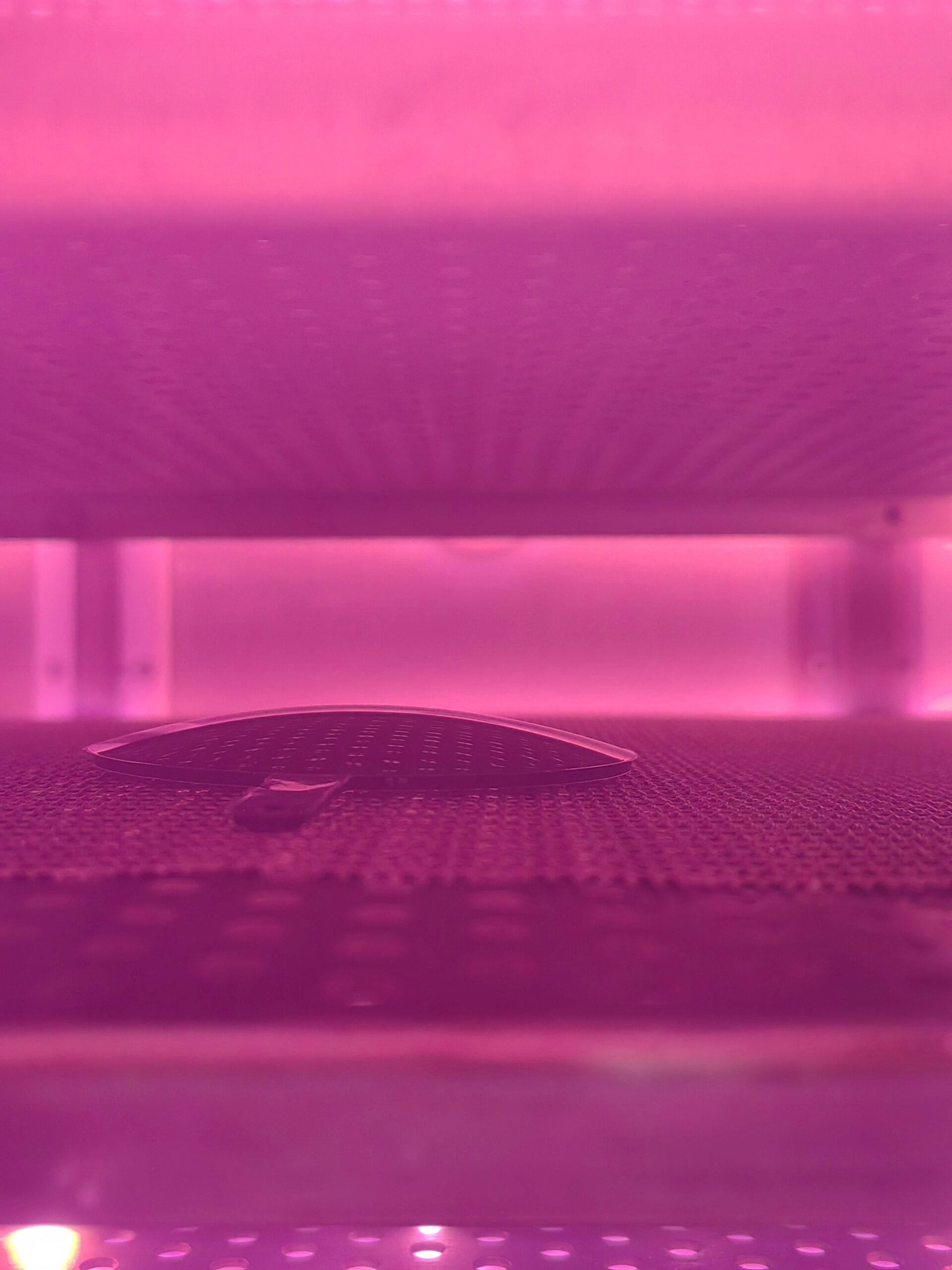 Optical glass sample inside a plasma treatment chamber