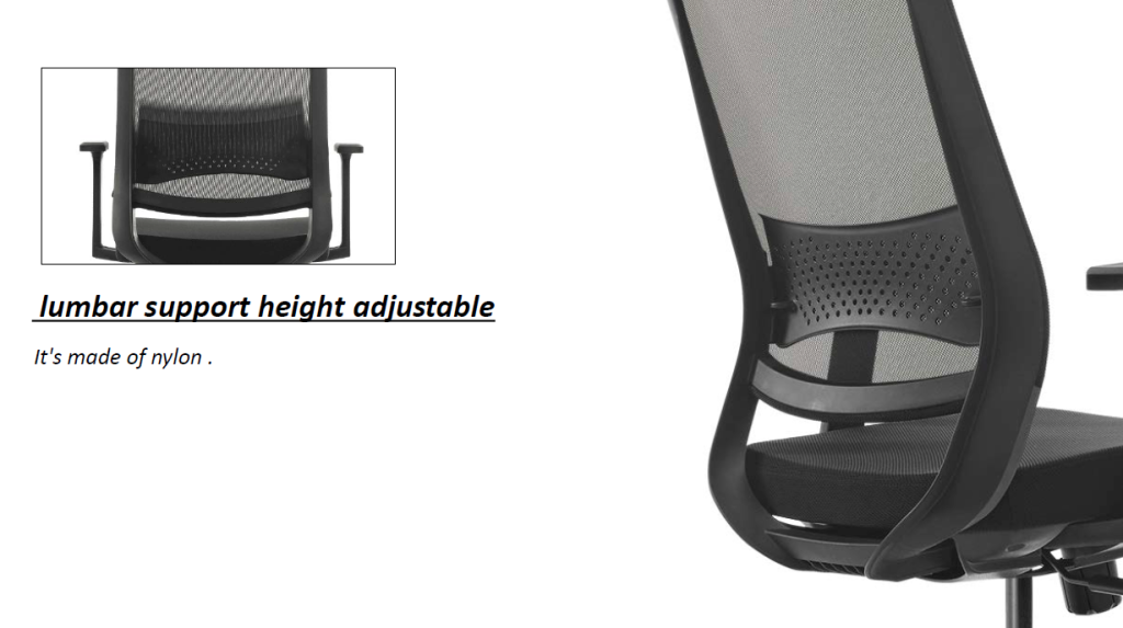 Office chair with height-adjustable lumbar support for personalized lower-back comfort and spinal alignment.