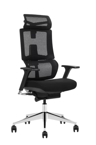 Back support ergonomic office chair with mesh back