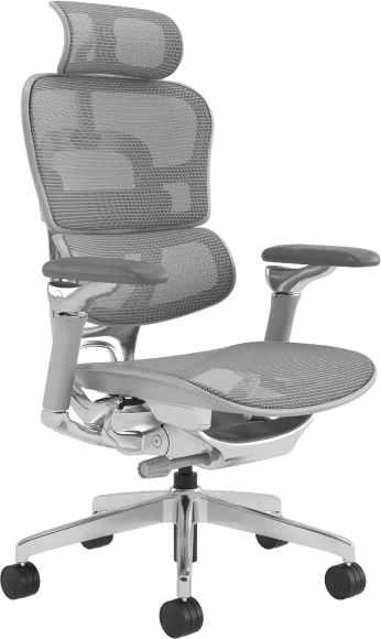Ergonomic office chair with 8D adjustable armrests