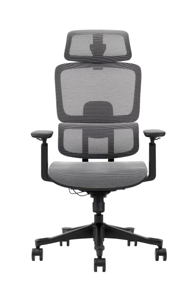 Adjustable ergonomic office chair with mesh back and seat